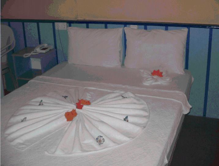 Pamukkale Hotel ディディム 部屋 写真
